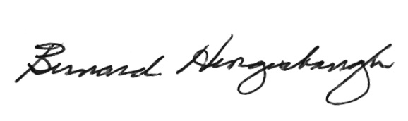 Bernie Image