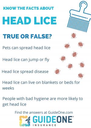 Head Lice